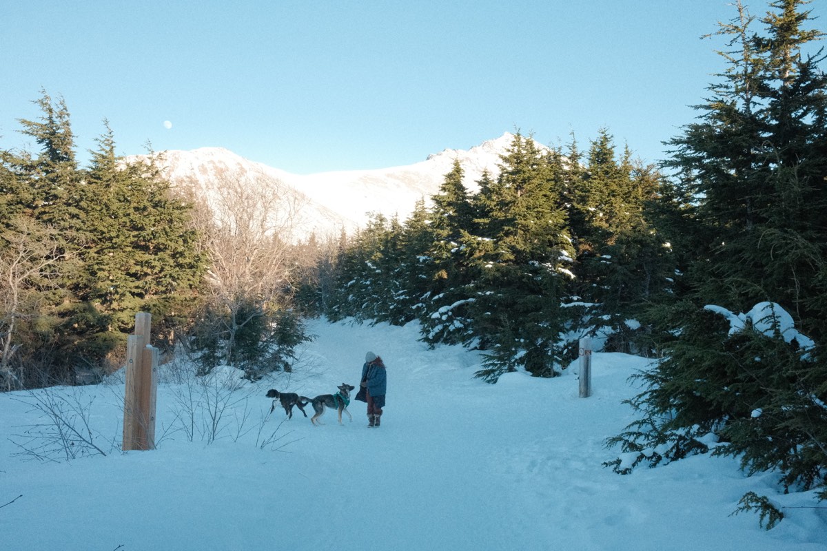 View from the Flat Top Mountain hike in Anchorage.