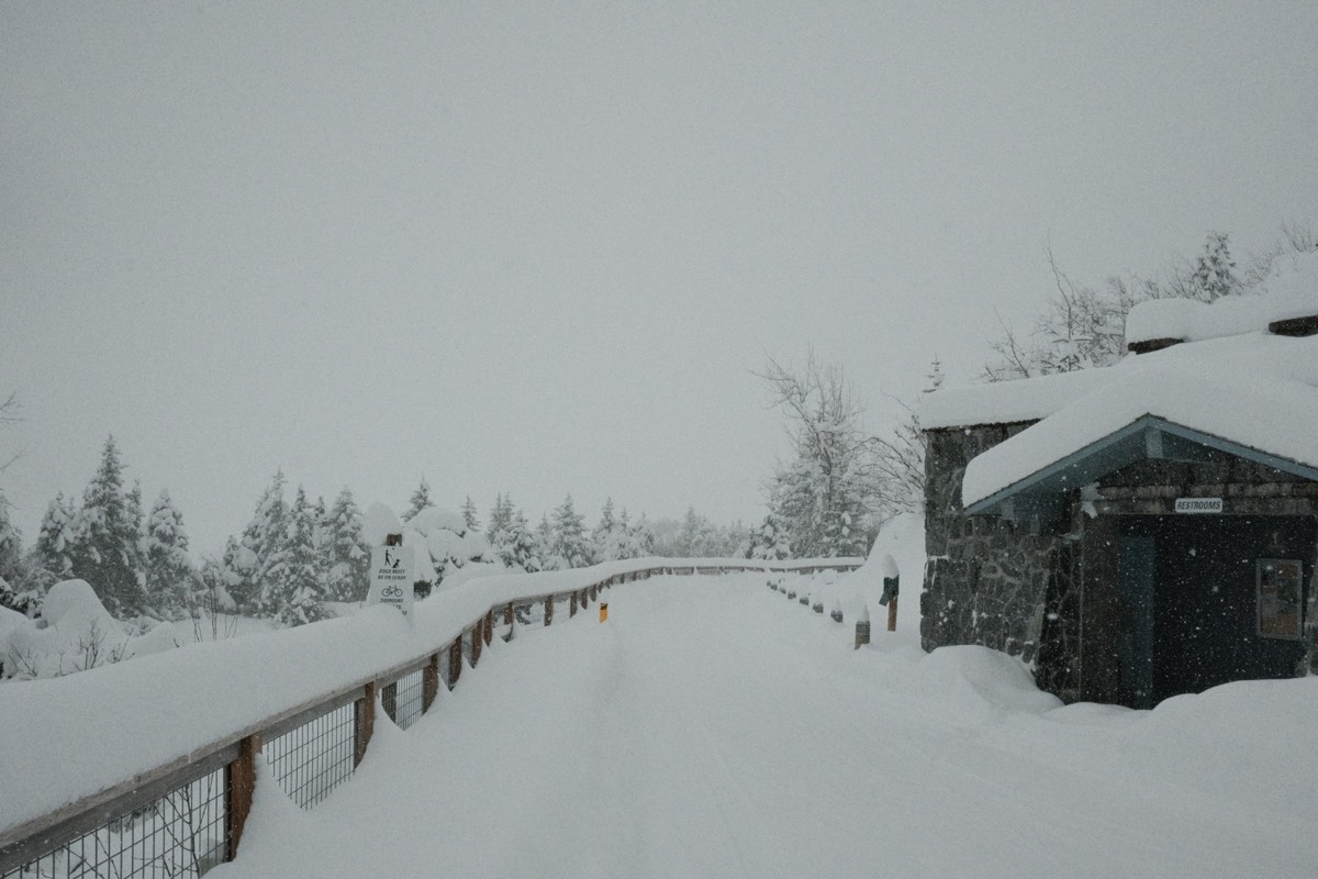 The road to the visitor center at the Mendenhall Glacier in Juneau.