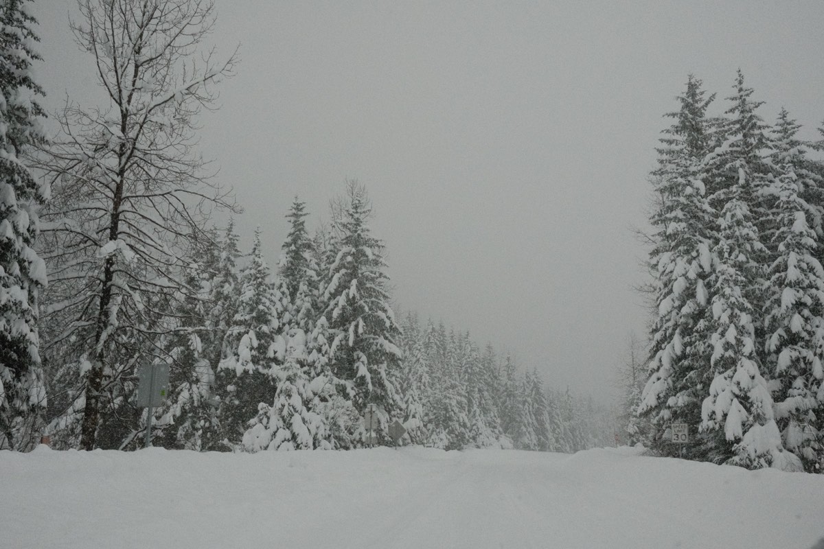 Suffice to say, we couldn't see the glacier.